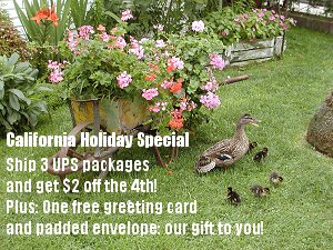 img_ducks.jpg
